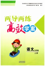 新课标两导两练高效学案五年级语文人教版