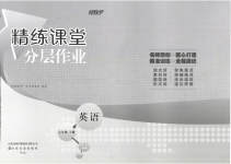 2023年精练课堂分层作业七年级英语下册人教版临沂专版