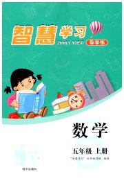 智慧学习五年级数学人教版