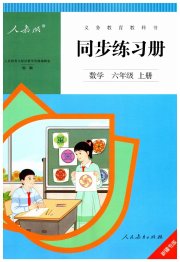 同步练习册六年级数学人教版新疆专版
