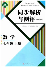 人教金学典同步解析与测评七年级数学人教版云南专版