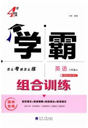 学霸组合训练八年级英语译林版扬州专版