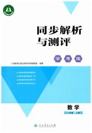 同步解析与测评学考练八年级数学人教版