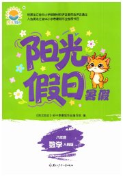 阳光假日暑假八年级数学人教版
