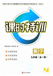 课时特训九年级数学浙教版