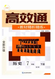 高效通教材精析精练七年级历史人教版