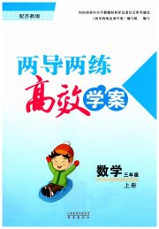 新课标两导两练高效学案三年级数学凤凰版