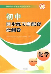同步练习册配套检测卷八年级化学鲁教版五四制