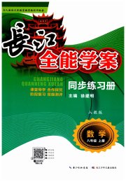 长江全能学案同步练习册八年级数学人教版