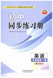 同步练习册明天出版社九年级英语鲁教版五四制