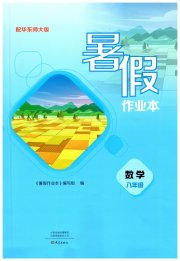 暑假作业本大象出版社八年级数学华师大版