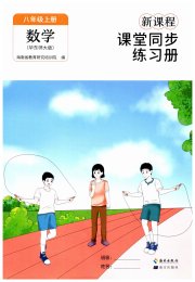 新课程课堂同步练习册八年级数学华师大版