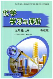 化学学习与评价九年级鲁教版