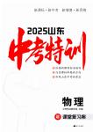 2025年中考特訓物理山東專版