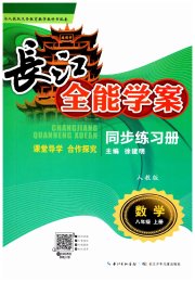 长江全能学案同步练习册八年级数学人教版
