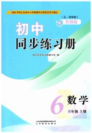 同步练习册山东教育出版社六年级数学鲁教版五四制