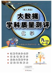 大数据学科质量测评九年级化学人教版