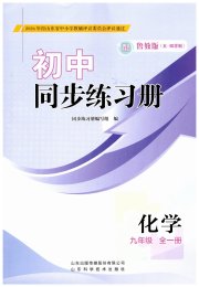 同步练习册山东科学技术出版社九年级化学鲁教版五四制