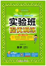 实验班提优训练六年级数学苏教版