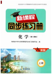 新课程同步练习册九年级化学人教版