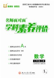 名师面对面学科素养评价七年级数学浙教版