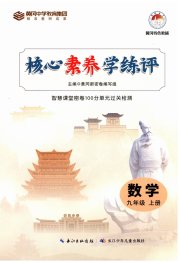 核心素养学练评九年级数学人教版