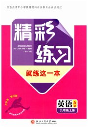 精彩练习就练这一本九年级英语人教版评议教辅
