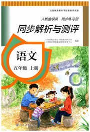 人教金学典同步解析与测评五年级语文人教版