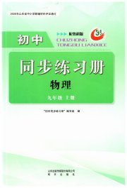 同步练习册明天出版社九年级物理鲁科版五四制