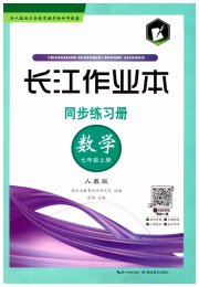 长江作业本同步练习册七年级数学人教版