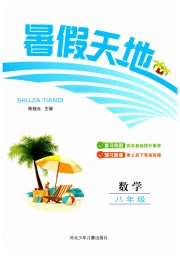 桂壮红皮书暑假天地河北少年儿童出版社八年级数学