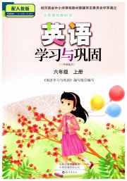 英语学习与巩固六年级人教版