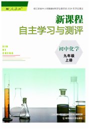 新课程自主学习与测评初中化学九年级人教版