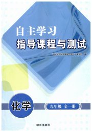 自主学习指导课程九年级化学