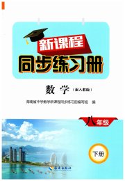 新课程同步练习册八年级数学人教版