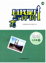 自我提升与评价九年级物理苏科版
