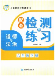 配套检测与练习六年级道德与法治人教版