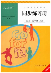 同步练习册九年级英语人教版新疆专版