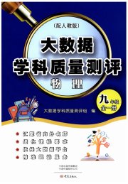大数据学科质量测评九年级物理人教版