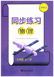 同步练习河南大学出版社九年级物理沪科版