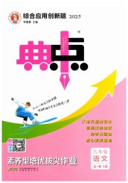 综合应用创新题典中点九年级语文人教版