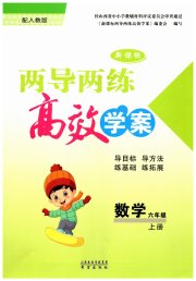 新课标两导两练高效学案六年级数学人教版