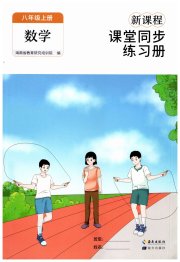 新课程课堂同步练习册八年级数学人教版