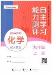 自主学习能力测评九年级化学人教版