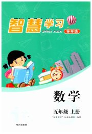 智慧学习五年级数学人教版