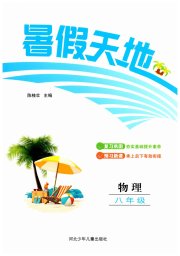 桂壮红皮书暑假天地河北少年儿童出版社八年级物理