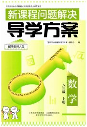 新课程问题解决导学方案八年级数学华东师大版