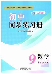 同步练习册山东教育出版社九年级数学人教版