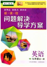 新课程问题解决导学方案九年级英语人教版