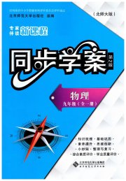 新课程同步学案九年级物理北师大版